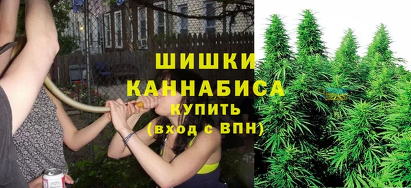 мескалин Няндома
