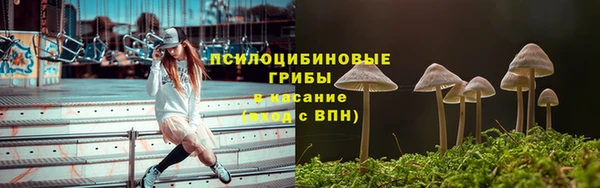 мескалин Няндома
