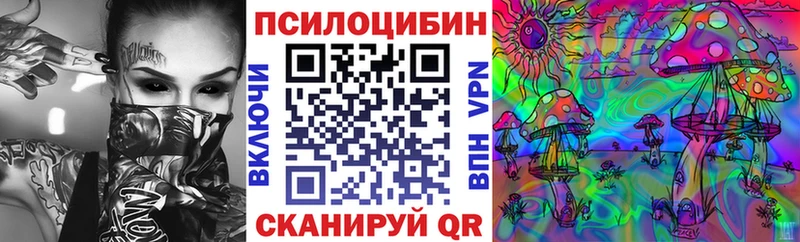 продажа наркотиков Шуя Псилоцибиновые грибы Psilocybine cubensis