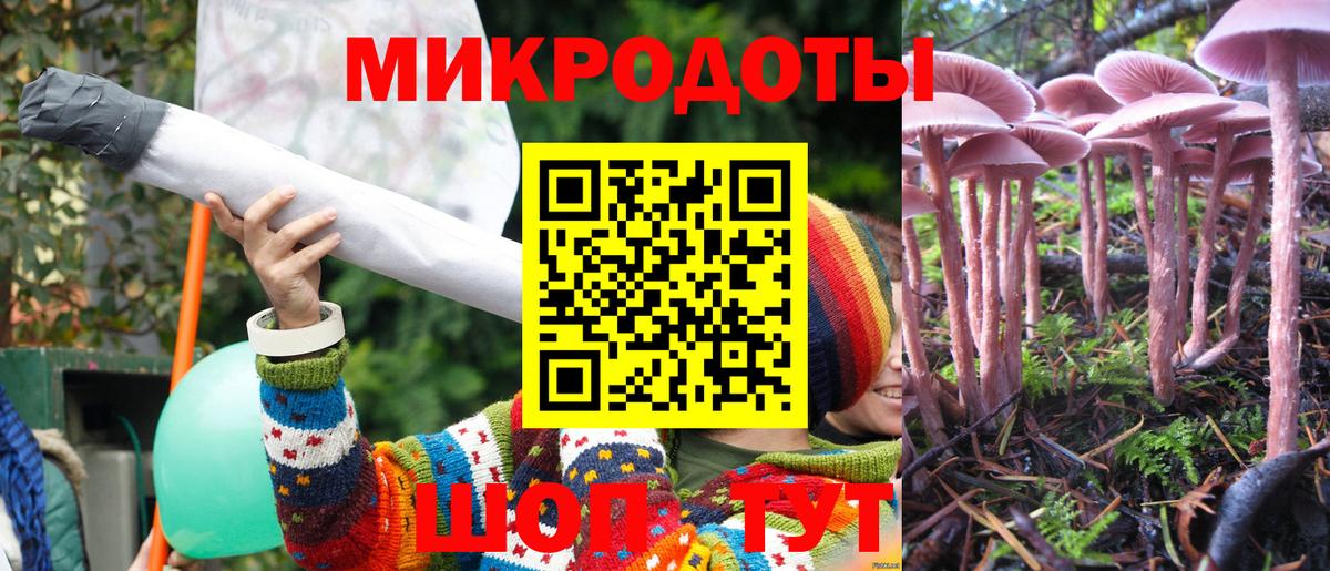 Галлюциногенные грибы Psilocybe Шуя