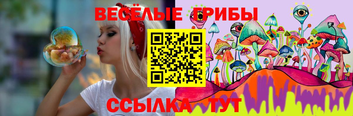 Галлюциногенные грибы Magic Shrooms  дарнет шоп  Шуя 